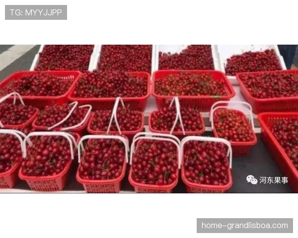 石家庄80比84不敌武汉 班克斯21分8篮板难救主